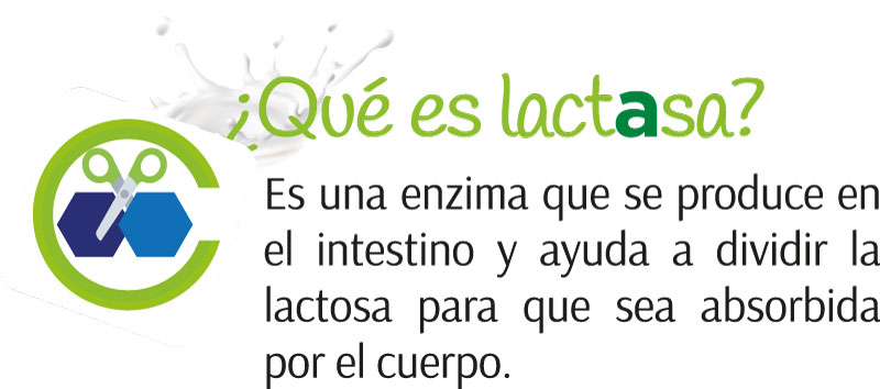 Grupo Menarini Centroam Rica Y El Caribe Intolerancia A La Lactosa